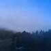 Cliquez pour agrandir l'image de la Webcam cambre-d-aze.com/20250512081505812.jpg