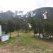 Cliquez pour agrandir l'image de la Webcam cambre-d-aze.com/20260501131507596.jpg