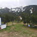 Cliquez pour agrandir l'image de la Webcam cambre-d-aze.com/20260502171507145.jpg