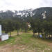 Cliquez pour agrandir l'image de la Webcam cambre-d-aze.com/20260503131504958.jpg