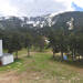 Cliquez pour agrandir l'image de la Webcam cambre-d-aze.com/20260504131505785.jpg