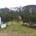 Cliquez pour agrandir l'image de la Webcam cambre-d-aze.com/20260508131506616.jpg