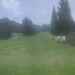 Cliquez pour agrandir l'image de la Webcam capcir-nordique.com/20250519131506937.jpg