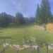 Cliquez pour agrandir l'image de la Webcam capcir-nordique.com/20250705081506195.jpg