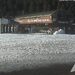 Cliquez pour agrandir l'image de la Webcam lesangles.com/20230316171510027.jpg