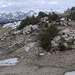 Cliquez pour agrandir l'image de la Webcam lesangles.com/20230324151513533.jpg