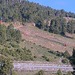 Cliquez pour agrandir l'image de la Webcam lesangles.com/20250518082359400.jpg