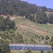 Cliquez pour agrandir l'image de la Webcam lesangles.com/20250613132148055.jpg