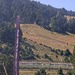 Cliquez pour agrandir l'image de la Webcam lesangles.com/20250805172150685.jpg