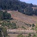 Cliquez pour agrandir l'image de la Webcam lesangles.com/20251012132202572.jpg