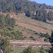 Cliquez pour agrandir l'image de la Webcam lesangles.com/20260523082159591.jpg