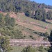 Cliquez pour agrandir l'image de la Webcam lesangles.com/20260525082201663.jpg