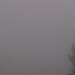 Cliquez pour agrandir l'image de la Webcam lesangles.com/20260605082204620.jpg