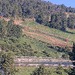Cliquez pour agrandir l'image de la Webcam lesangles.com/20260616082201677.jpg