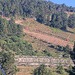 Cliquez pour agrandir l'image de la Webcam lesangles.com/20260714082201689.jpg