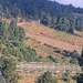 Cliquez pour agrandir l'image de la Webcam lesangles.com/20260726082159906.jpg