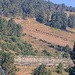 Cliquez pour agrandir l'image de la Webcam lesangles.com/20260730082201659.jpg
