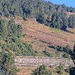 Cliquez pour agrandir l'image de la Webcam lesangles.com/20260807082159615.jpg