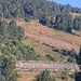 Cliquez pour agrandir l'image de la Webcam lesangles.com/20260808082202739.jpg