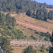Cliquez pour agrandir l'image de la Webcam lesangles.com/20260815082157556.jpg