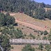 Cliquez pour agrandir l'image de la Webcam lesangles.com/20260911132202585.jpg