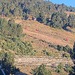 Cliquez pour agrandir l'image de la Webcam lesangles.com/20260913082202977.jpg