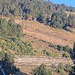 Cliquez pour agrandir l'image de la Webcam lesangles.com/20260914082201685.jpg