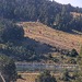 Cliquez pour agrandir l'image de la Webcam lesangles.com/20260914172203073.jpg