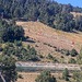 Cliquez pour agrandir l'image de la Webcam lesangles.com/20260919152203363.jpg
