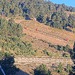 Cliquez pour agrandir l'image de la Webcam lesangles.com/20260920082157550.jpg