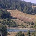 Cliquez pour agrandir l'image de la Webcam lesangles.com/20261008152158232.jpg