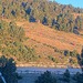 Cliquez pour agrandir l'image de la Webcam lesangles.com/20261009082158580.jpg