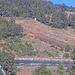 Cliquez pour agrandir l'image de la Webcam lesangles.com/20261009102201428.jpg