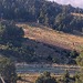 Cliquez pour agrandir l'image de la Webcam lesangles.com/20261010172158988.jpg