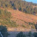 Cliquez pour agrandir l'image de la Webcam lesangles.com/20261011082200614.jpg