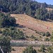Cliquez pour agrandir l'image de la Webcam lesangles.com/20261011152159522.jpg