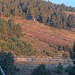 Cliquez pour agrandir l'image de la Webcam lesangles.com/20261014082159609.jpg