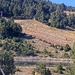 Cliquez pour agrandir l'image de la Webcam lesangles.com/20261014152200264.jpg