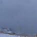 Cliquez pour agrandir l'image de la Webcam peyragudes.com/20231201101513928.jpg