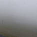 Cliquez pour agrandir l'image de la Webcam peyragudes.com/20250715132153746.jpg
