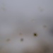 Cliquez pour agrandir l'image de la Webcam trio-pyrenees.com/20231201101512892.jpg