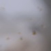 Cliquez pour agrandir l'image de la Webcam trio-pyrenees.com/20231201151512787.jpg