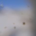 Cliquez pour agrandir l'image de la Webcam trio-pyrenees.com/20231203101515393.jpg