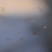 Cliquez pour agrandir l'image de la Webcam trio-pyrenees.com/20231203171512763.jpg