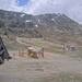 Cliquez pour agrandir l'image de la Webcam trio-pyrenees.com/20250511132400924.jpg