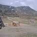 Cliquez pour agrandir l'image de la Webcam trio-pyrenees.com/20250515132400836.jpg