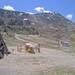 Cliquez pour agrandir l'image de la Webcam trio-pyrenees.com/20250516132405140.jpg