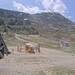 Cliquez pour agrandir l'image de la Webcam trio-pyrenees.com/20250518132404046.jpg