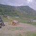 Cliquez pour agrandir l'image de la Webcam trio-pyrenees.com/20250606172402375.jpg