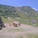 Cliquez pour agrandir l'image de la Webcam trio-pyrenees.com/20250607132400160.jpg